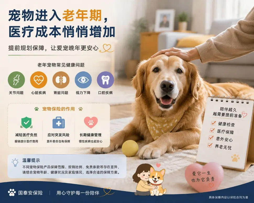 图片8.webp
